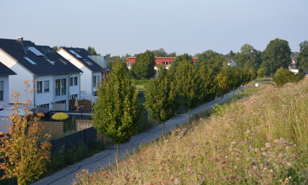 Wohnen in Brand, © Stadt Aachen/Wolfgang Sanders