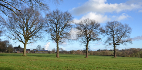 Brander Feld, © Stadt Aachen/Wolfgang Sanders