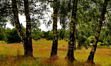 Naherholung vor der Haustür, © Ewald Kreus