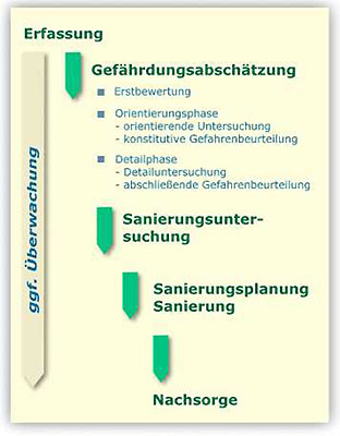 Schemadarstellung der Arbeitsschritte