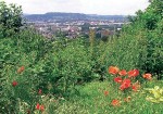 Ausblick auf dem Grünen über Haaren (c) Stadt Aachen