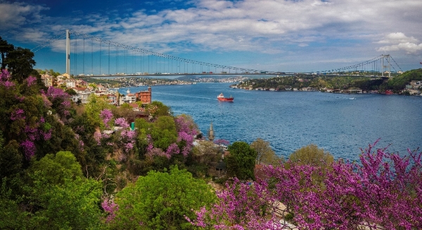 Blaues Meer mit blühenden Blumen