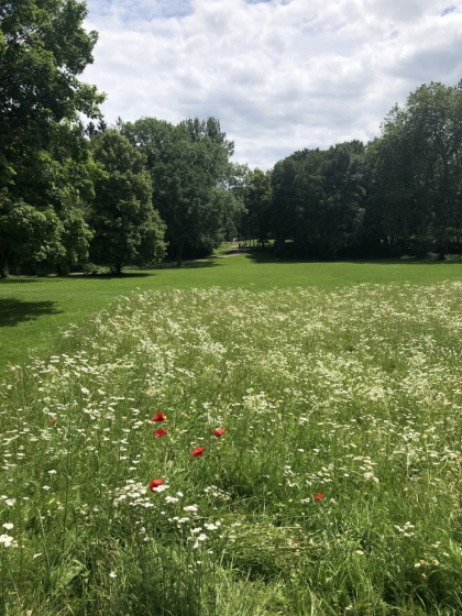 Ferberpark_Fotoquelle-StadtbetriebAachen_420