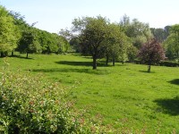 Obstwiese in Aachen