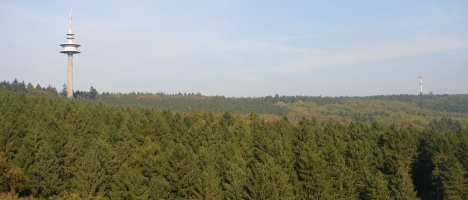 Blick über den Preuswald