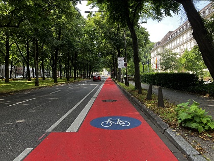 Eine Allee mit zweispuriger Straße und einem Radweg daneben