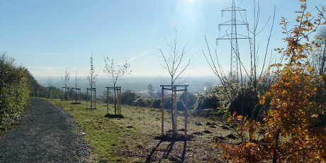 Wanderweg Ökopark Haarberg