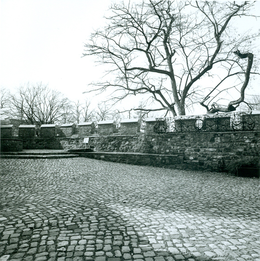 Burg_Frankenberg5