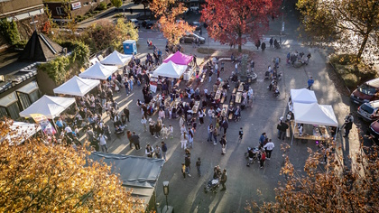 Luftbild Straßenfest 420